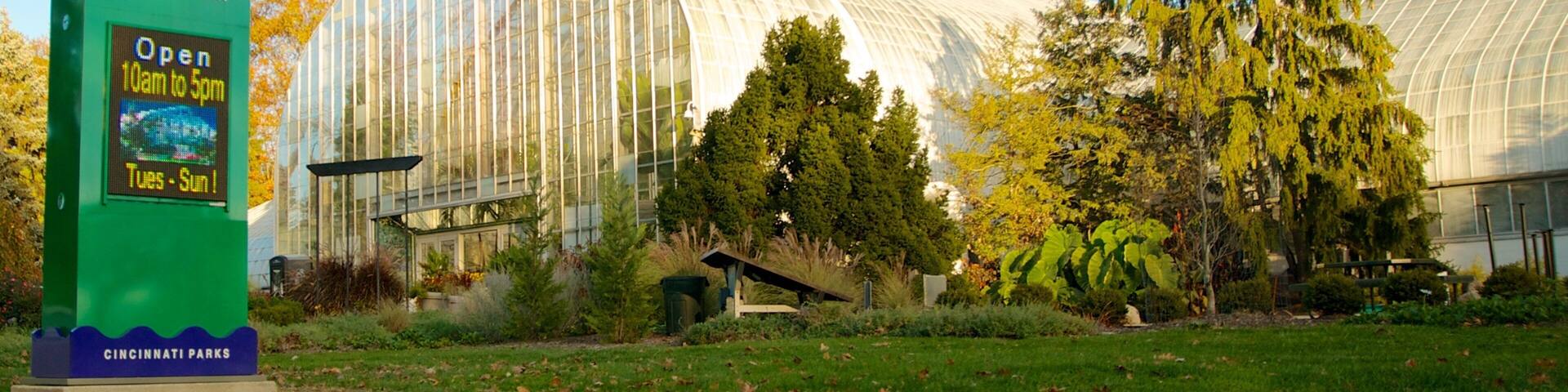 クローン温室 どの含み 秋の紅葉