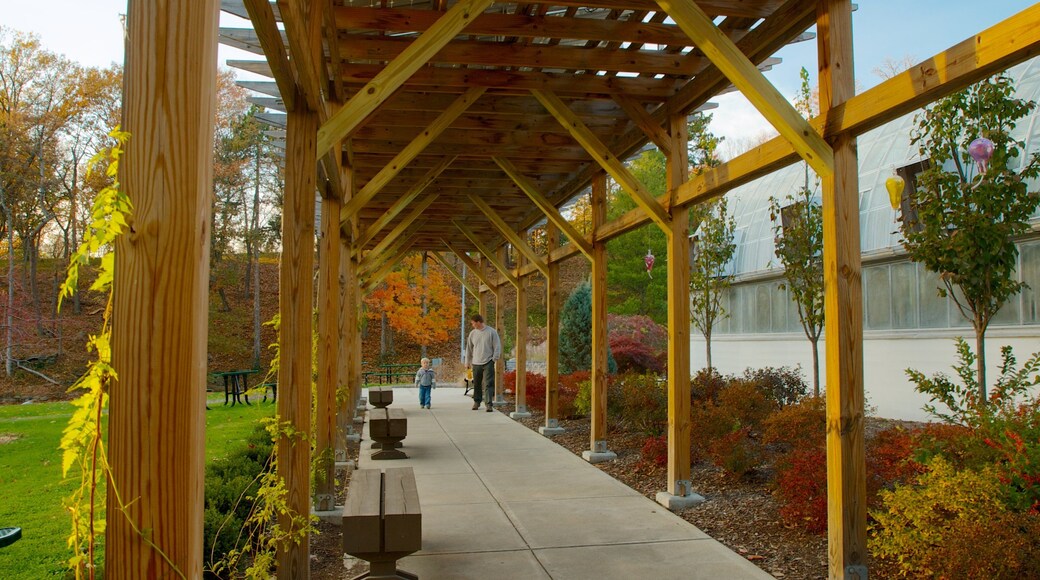 Krohn Conservatory ofreciendo un jardín y hojas de otoño y también una familia