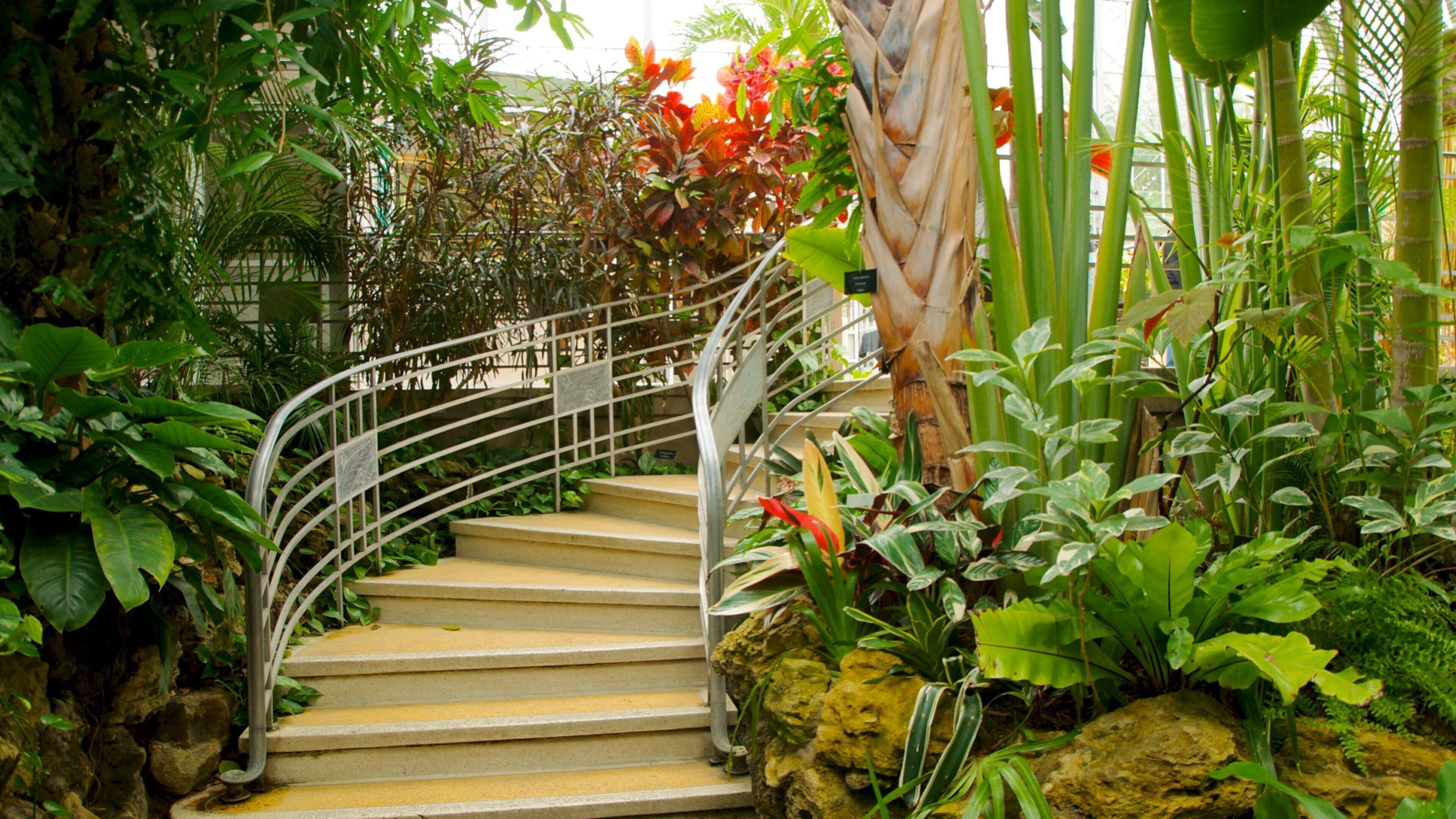 Natuurbeheer Krohn bevat bloemen, een tuin en interieur