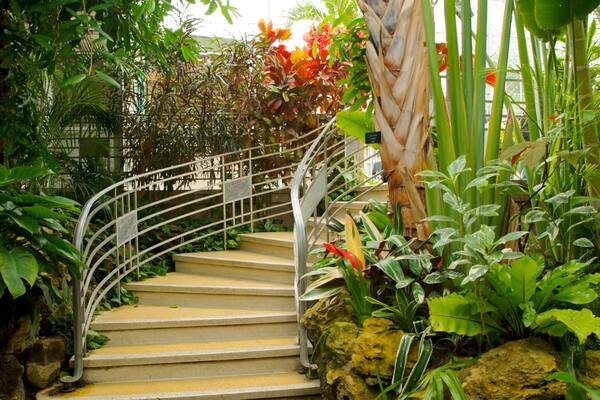 Krohn Conservatory ofreciendo vistas de interior, flores y un jardín