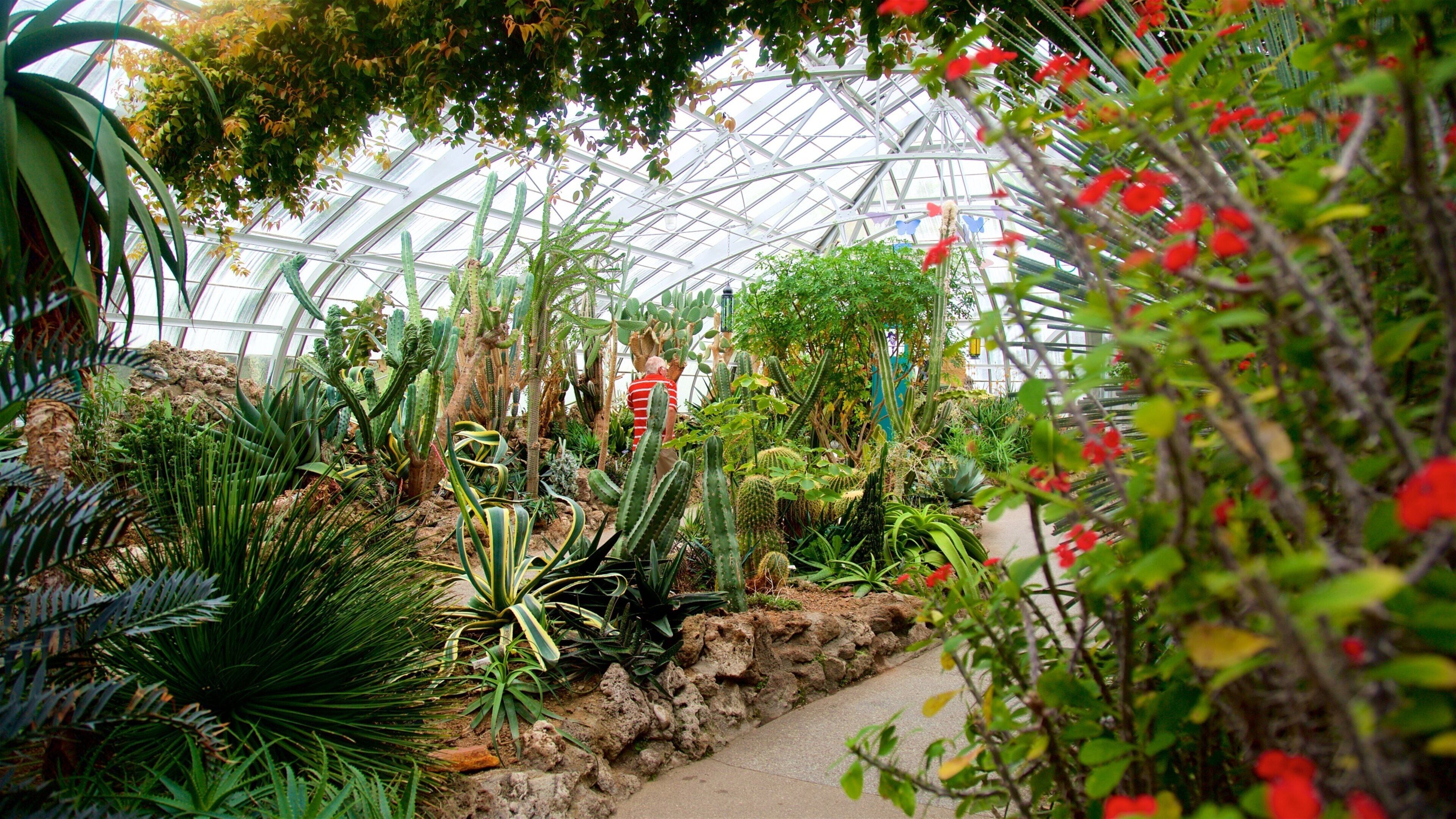 Krohn Conservatory som inkluderar en park och blommor