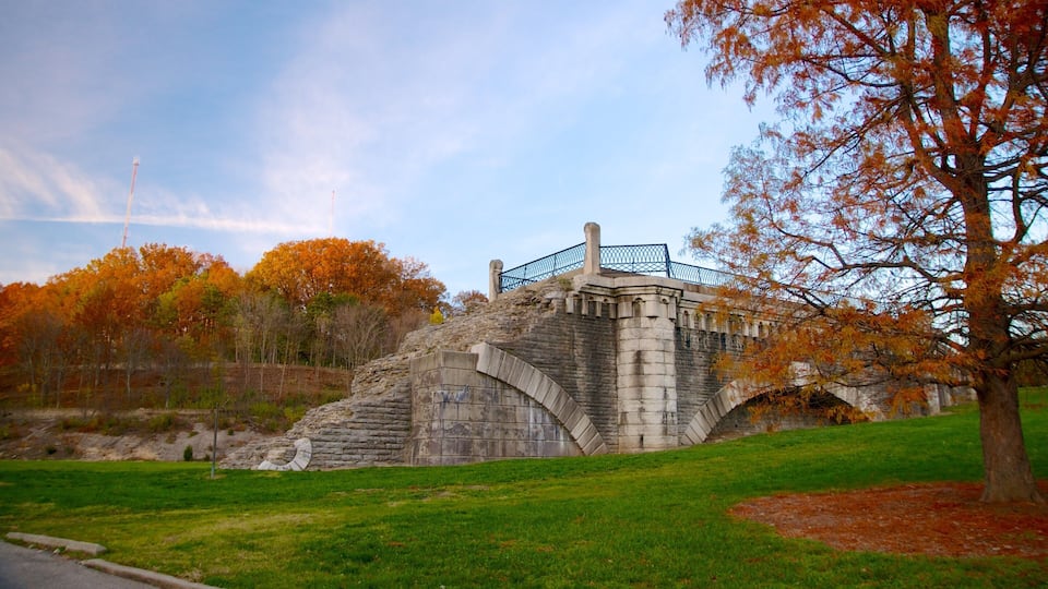 Krohn Conservatory which includes a park and fall colors