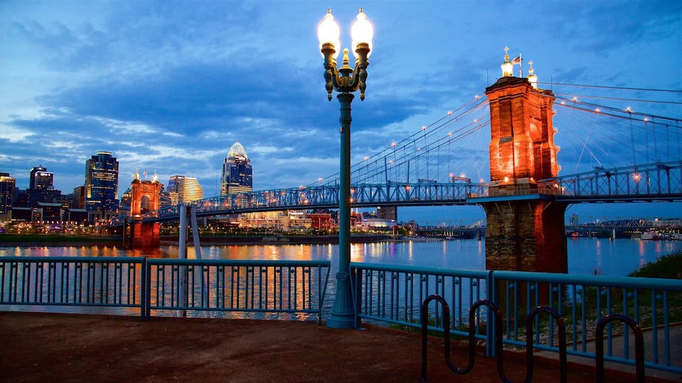 A city skyline with a prominent bridge and a lit street lamp.