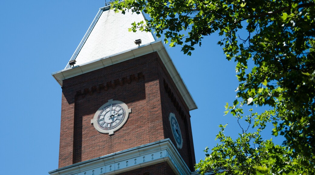 Ohio statsuniversitet