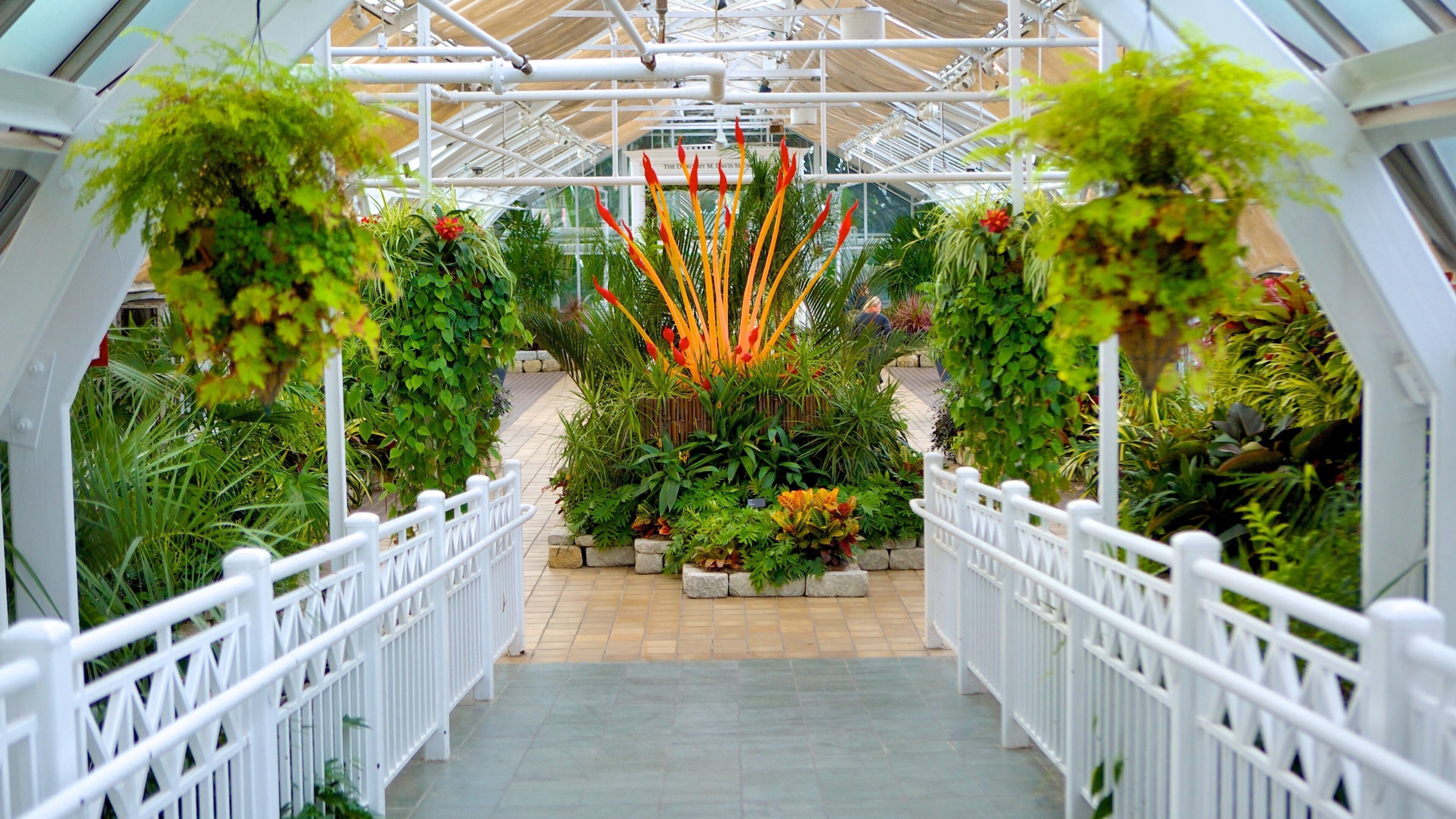 Franklin Park Conservatory and Botanical Gardens qui includes parc, vues intérieures et fleurs