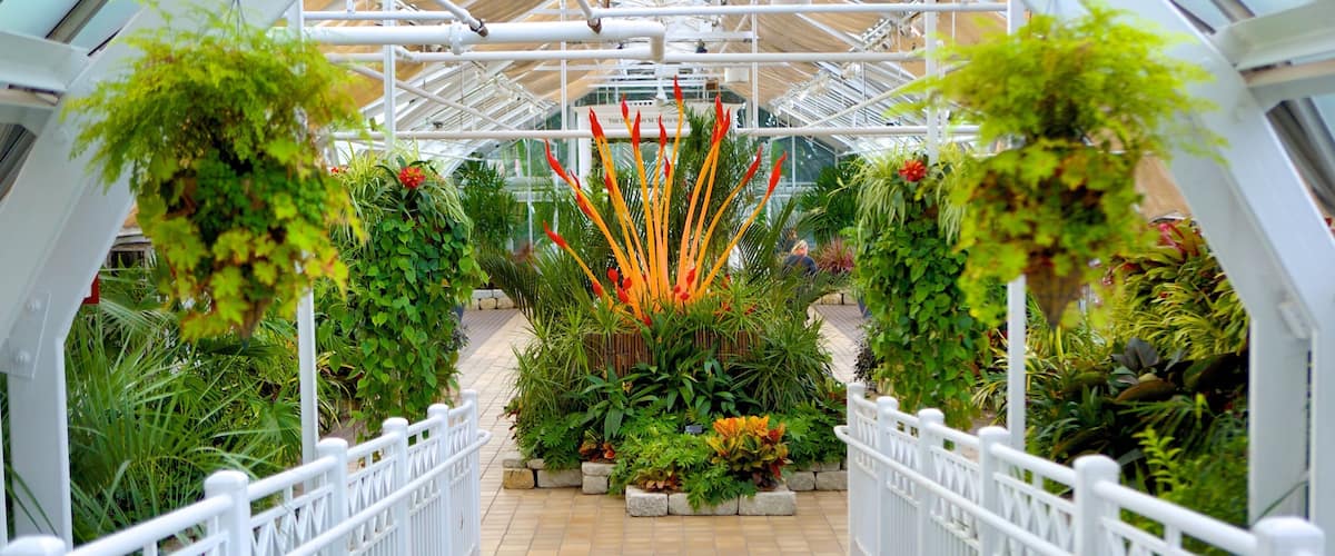 Jardín botánico y área de conservación Franklin Park ofreciendo flores, jardín y vista interna