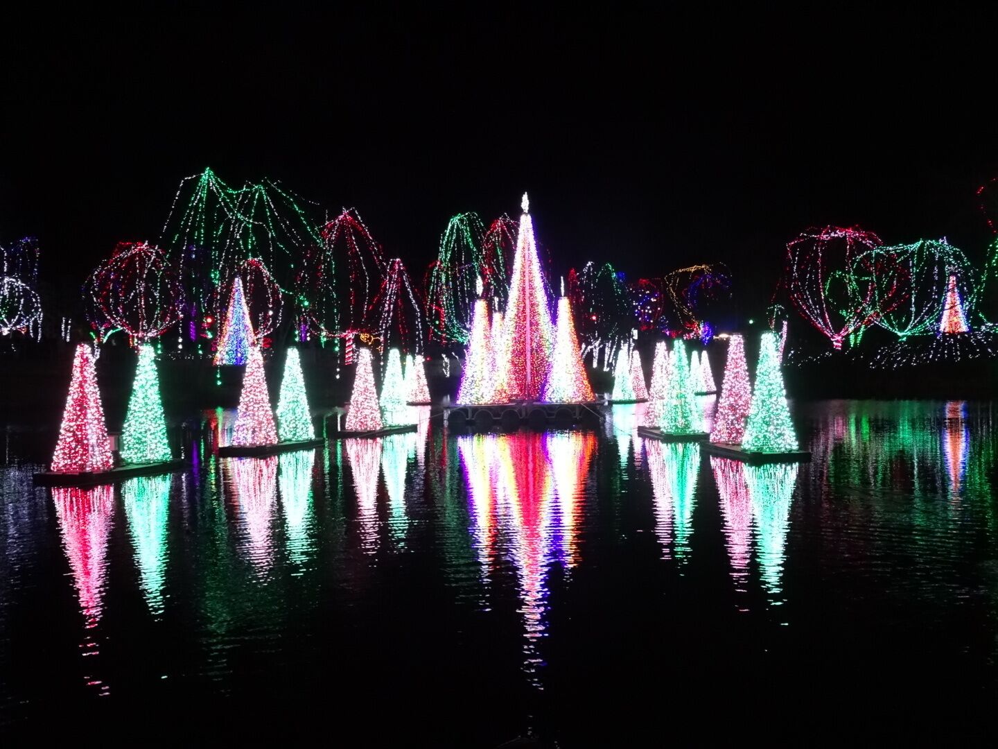 WildLights at the Columbus Zoo and Aquarium includes an incredible light display surrounding the pond synchronized to holiday music.