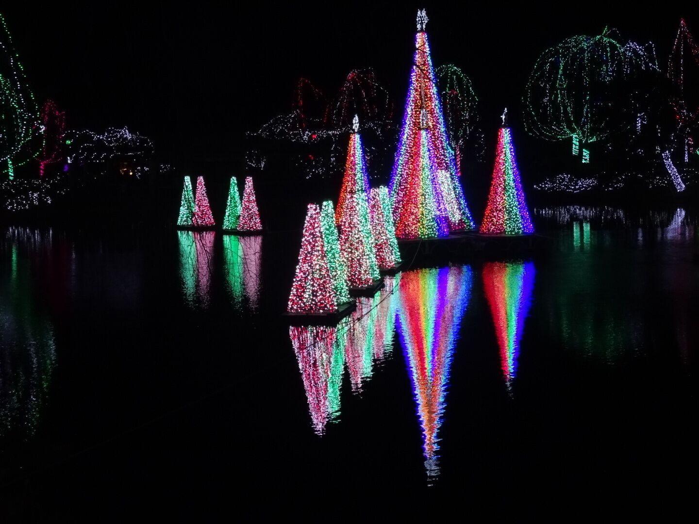 WildLights at the Columbus Zoo and Aquarium includes an incredible light display surrounding the pond synchronized to holiday music.
