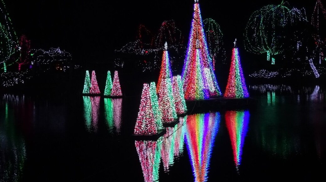 WildLights at the Columbus Zoo and Aquarium includes an incredible light display surrounding the pond synchronized to holiday music.