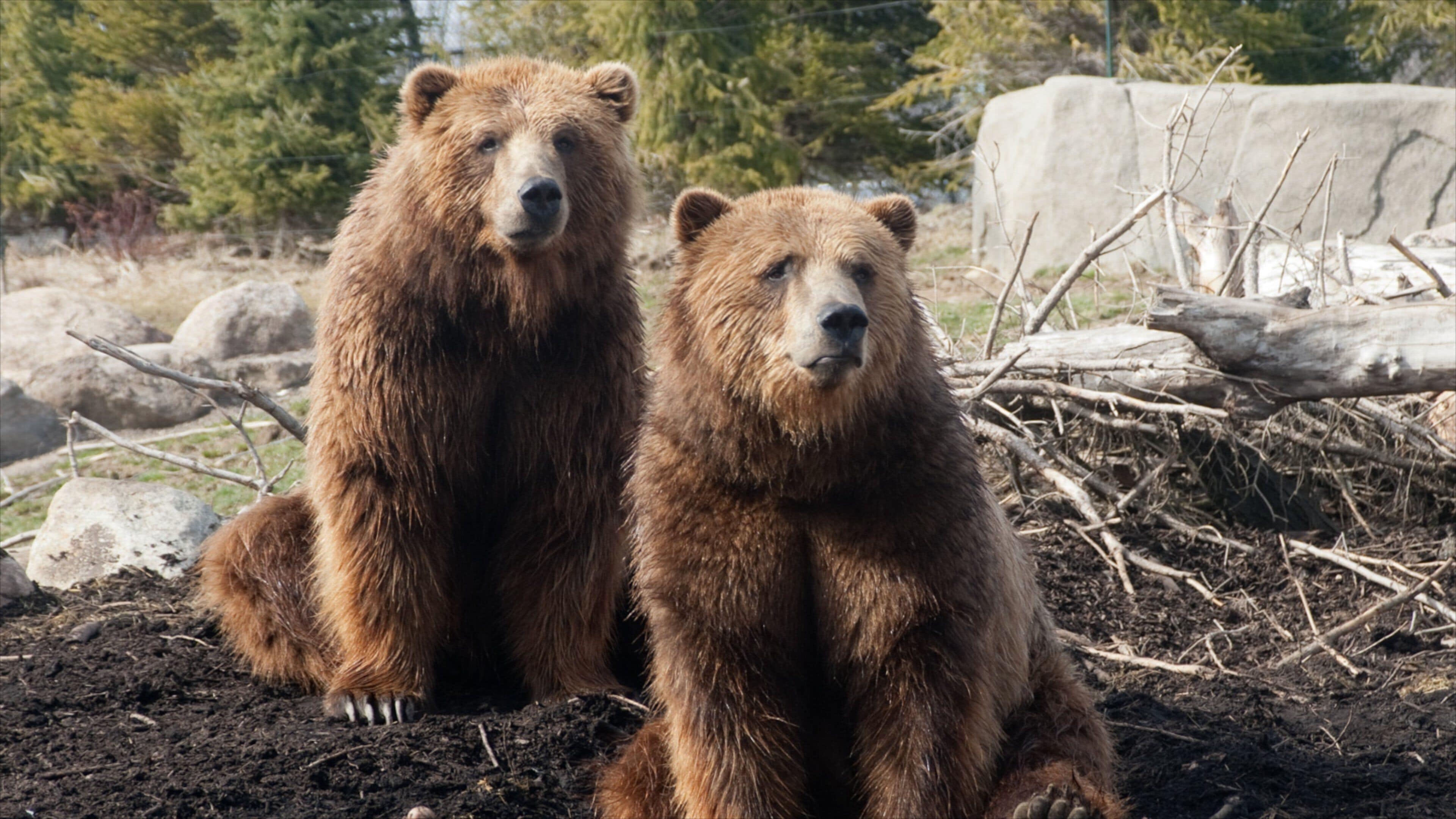 Columbus Zoo and Aquarium mostrando animales peligrosos y animales de zoológico