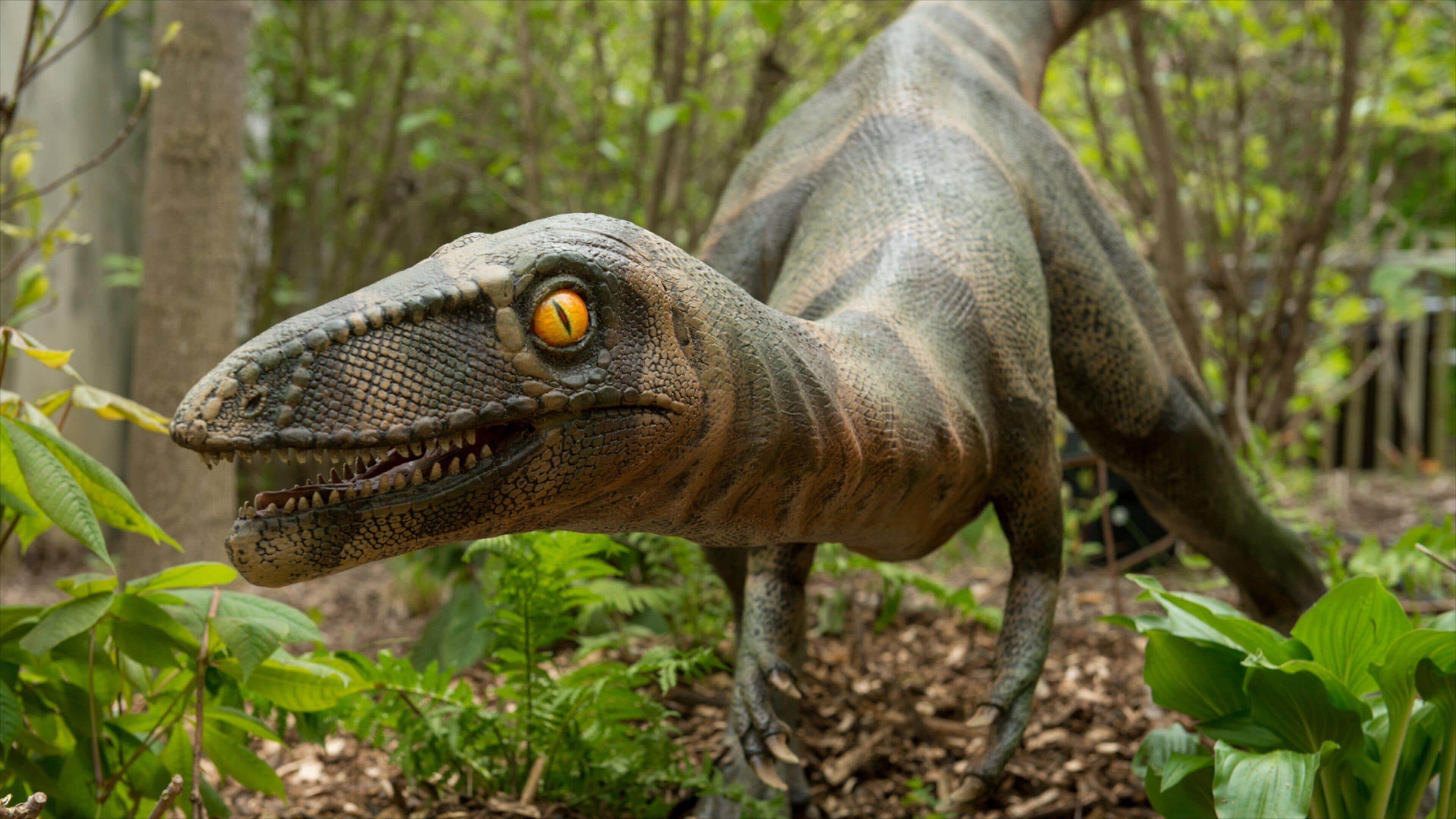 Columbus Zoo and Aquarium ofreciendo animales de zoológico