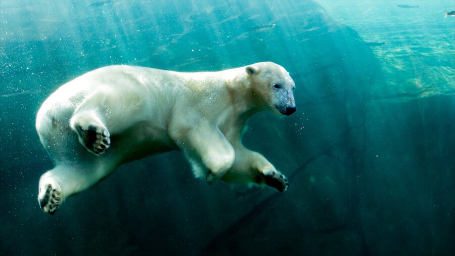 Columbus Zoo and Aquarium