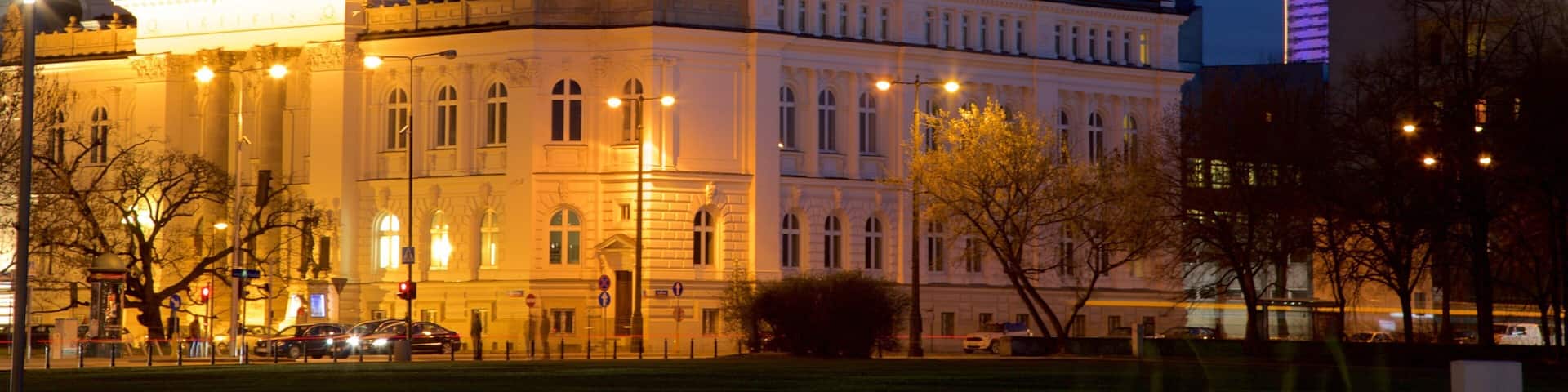 Pilsudski Square featuring a city and night scenes