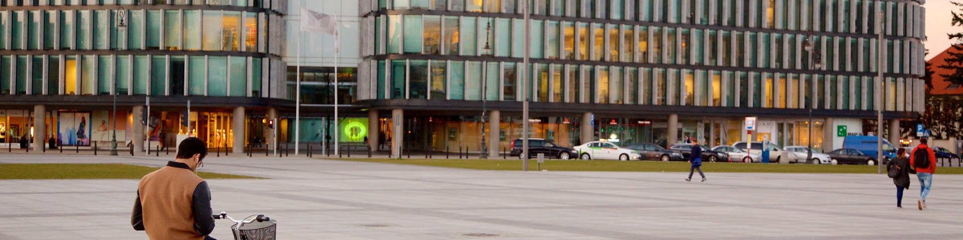 Pilsudski Square which includes a square or plaza and cycling as well as an individual male