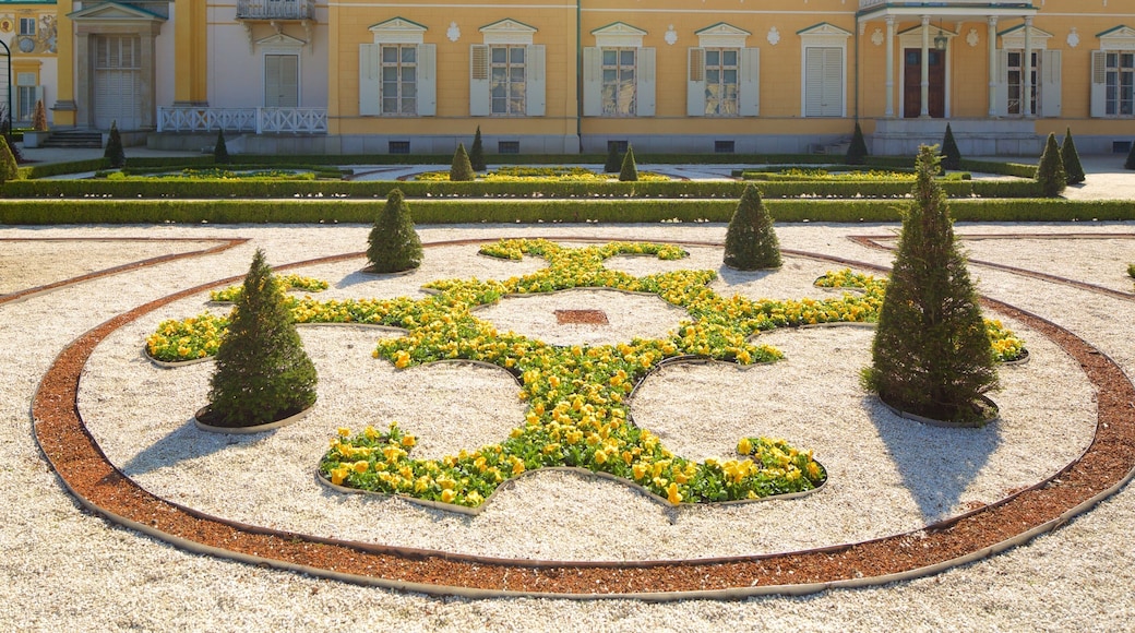 Palacio Wilanow que incluye un jardín