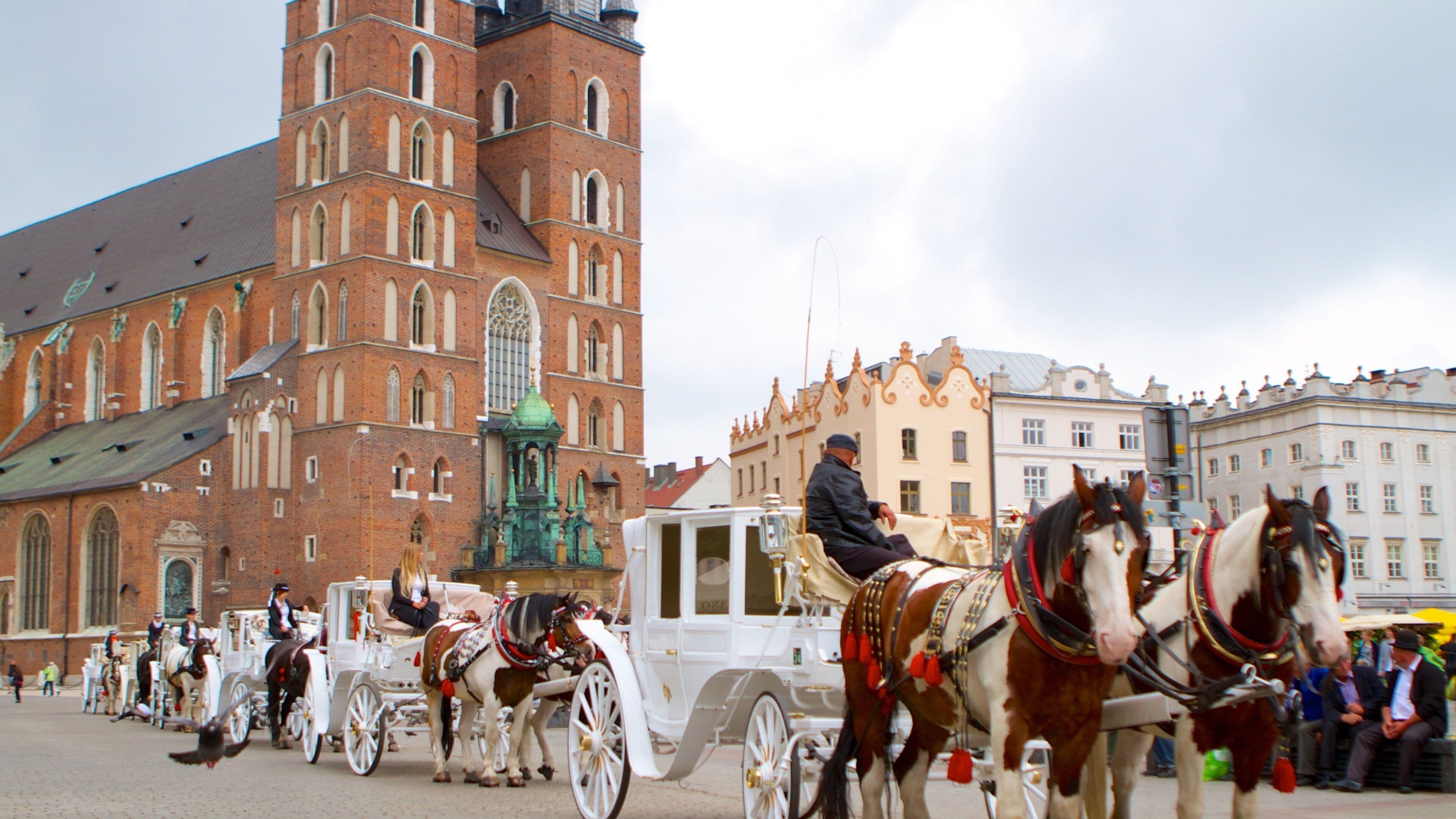 セント メアリー教会 表示 陸生動物, 遺跡 と 教会あるいは大聖堂