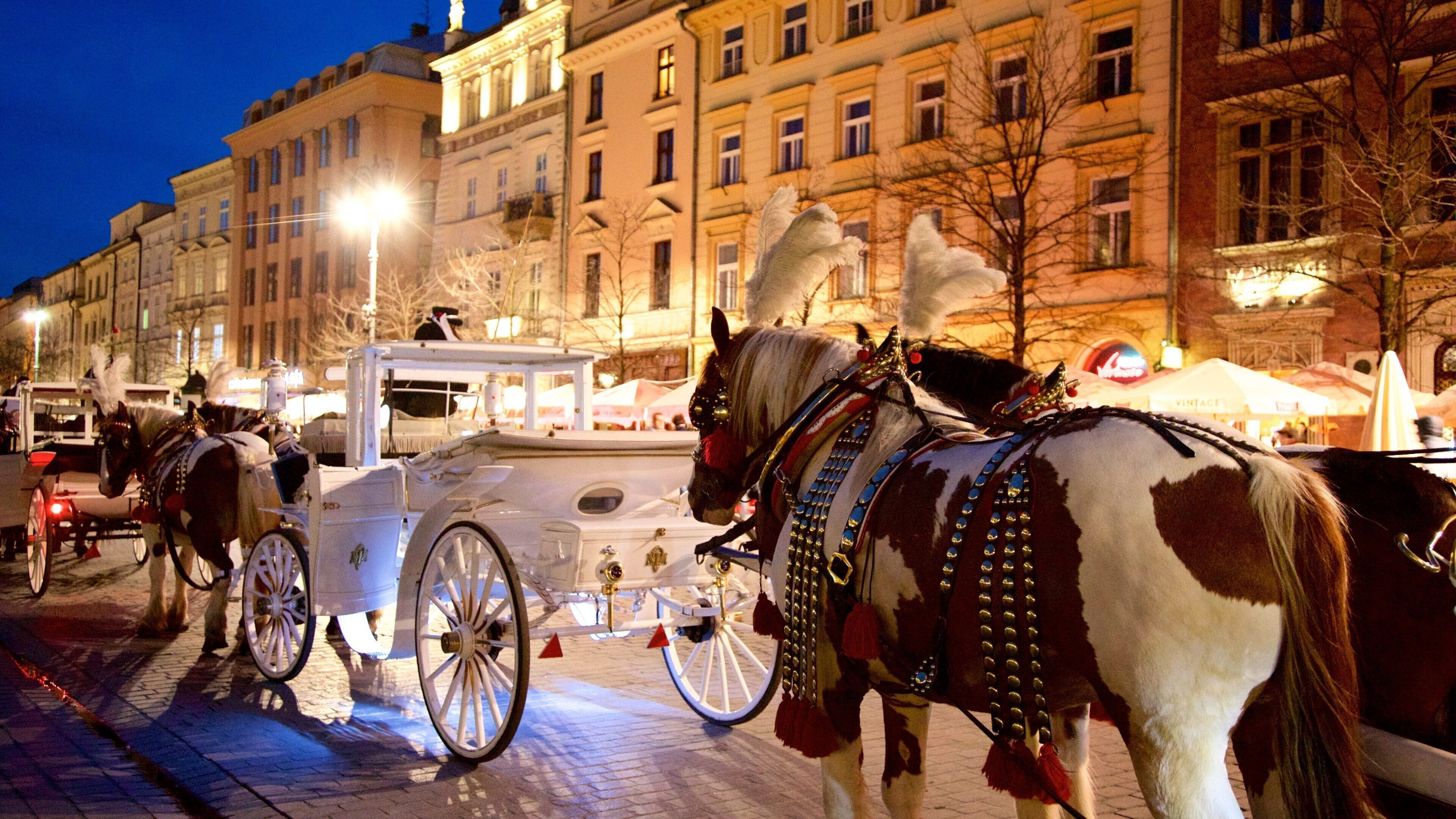 Cracovia caratteristiche di animali