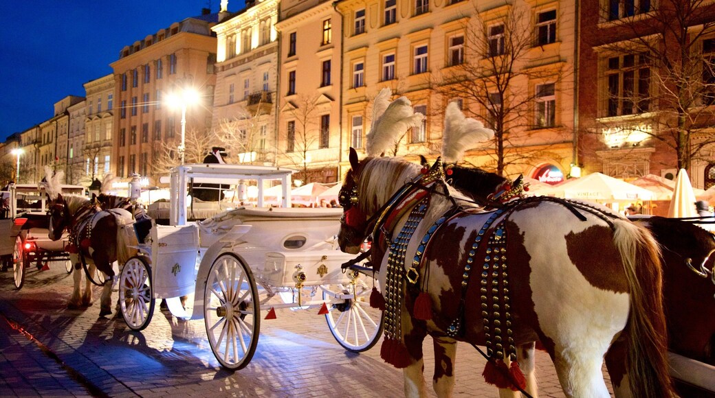 Cracovia caratteristiche di animali