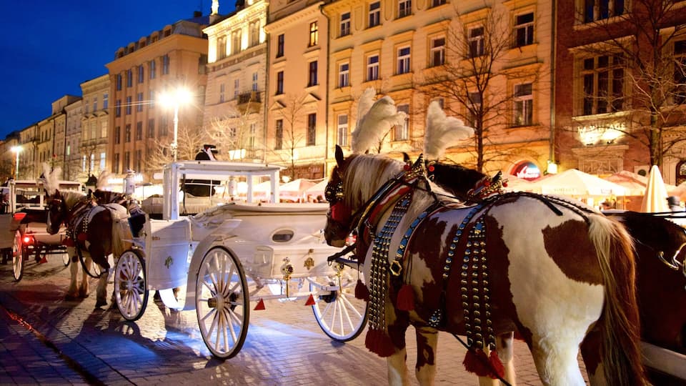 Krakow featuring animals