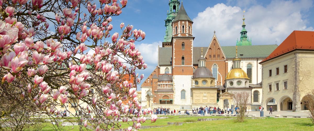 Catedral de Wawel que incluye una ciudad y flores