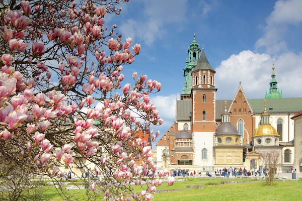 Cathédrale du Wawel montrant fleurs et ville