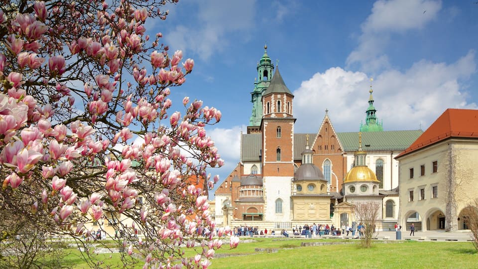 Wawel Cathedral featuring flowers and a city