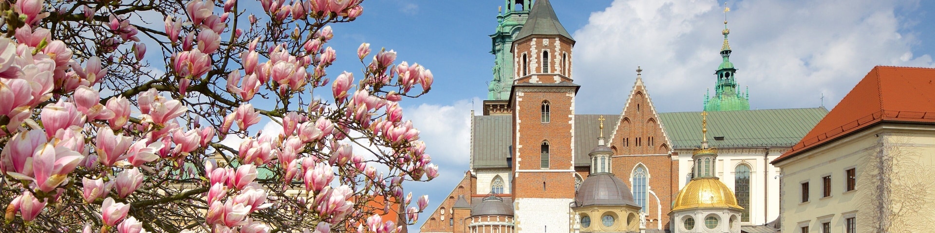 Wawel Cathedral featuring flowers and a city