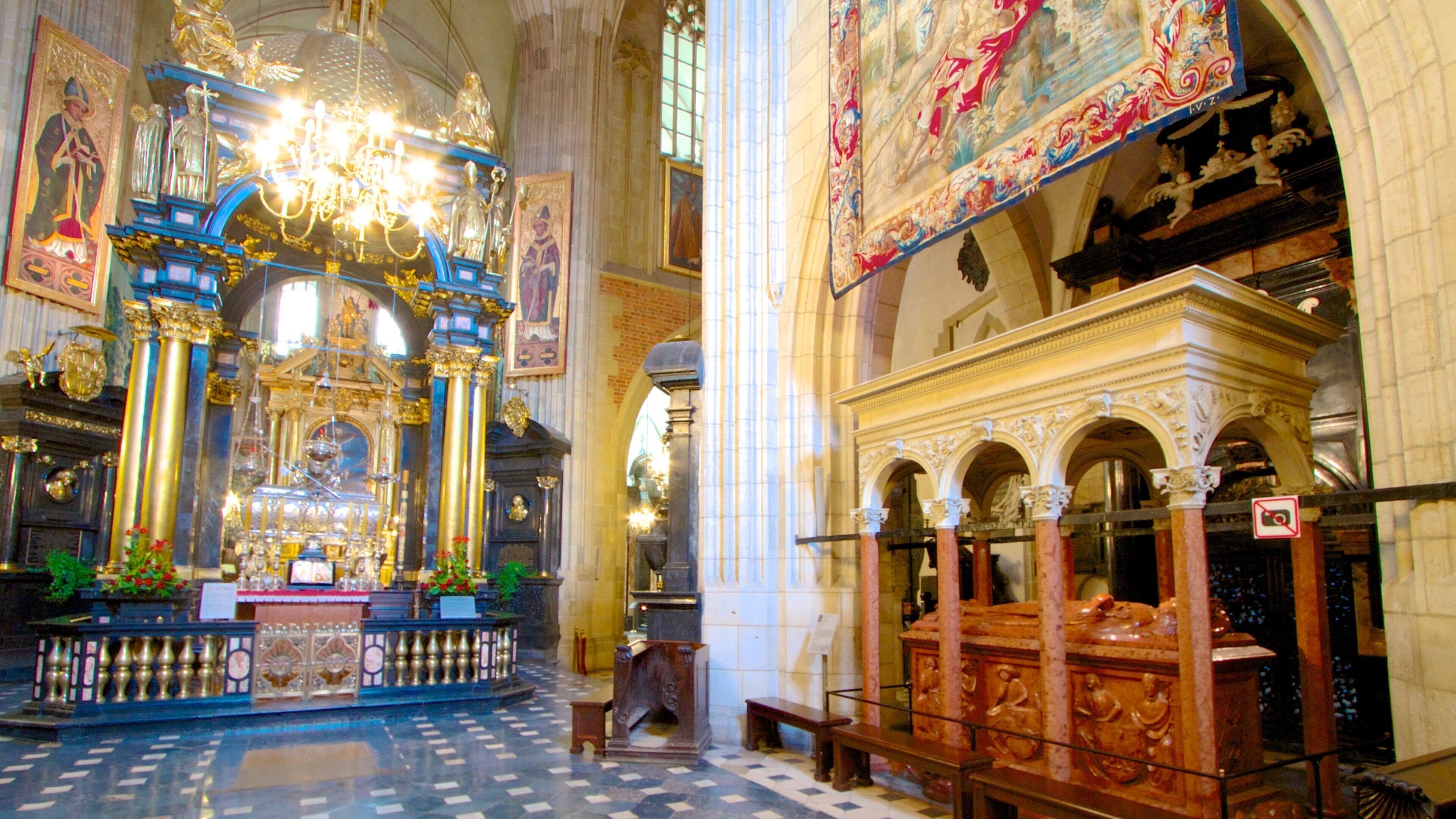Kathedraal op de Wawel toont een kerk of kathedraal, religieuze aspecten en interieur