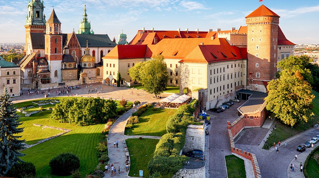 Castello del Wawel