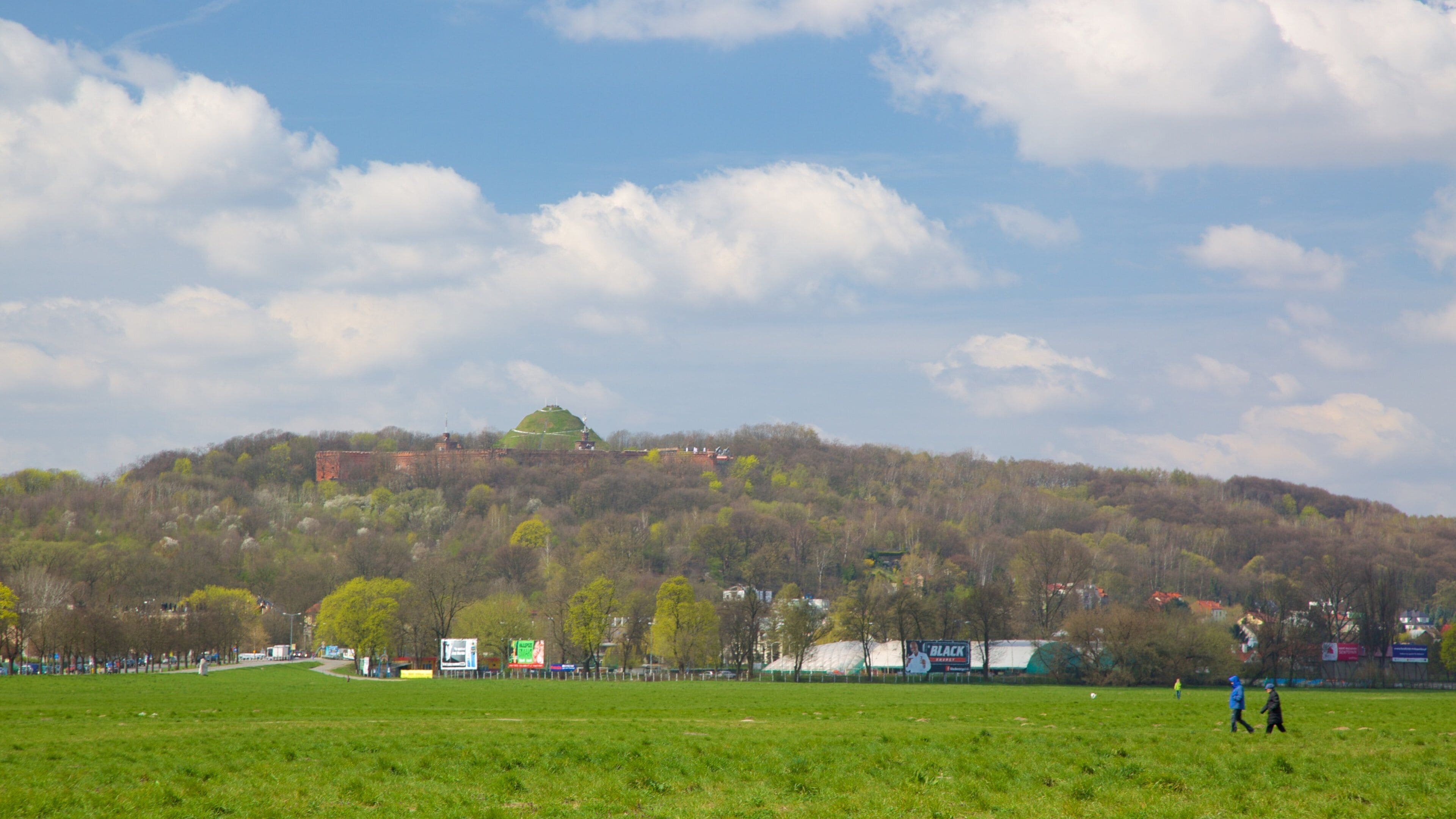 コジオスコ マウンド フィーチャー 庭園