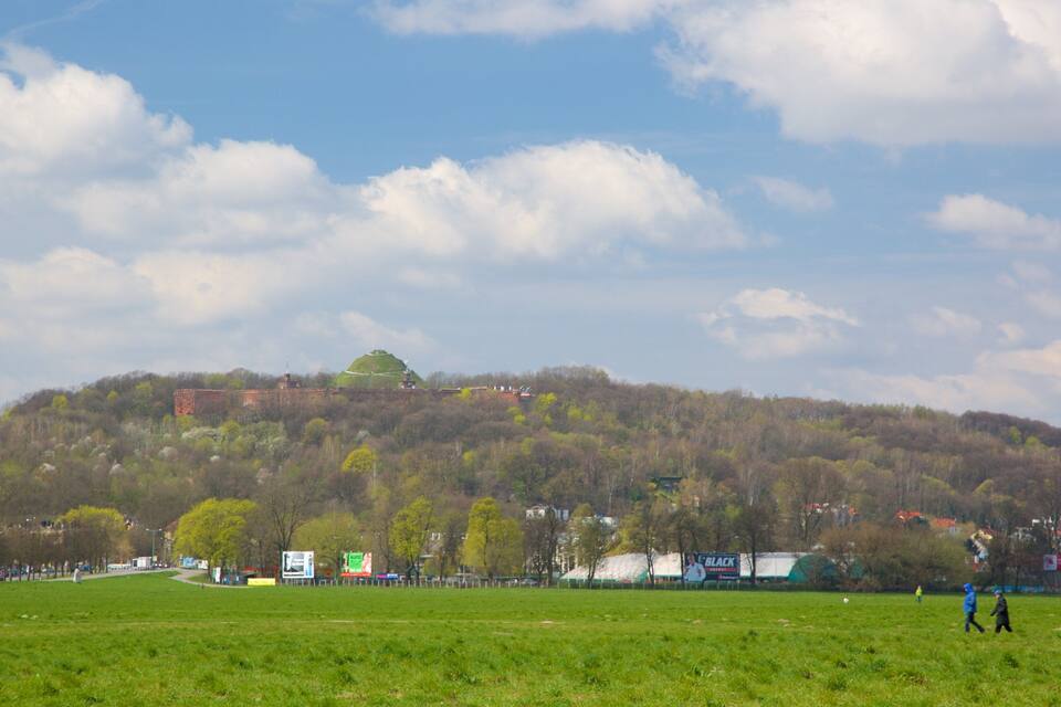 A green field with a hill in the background.