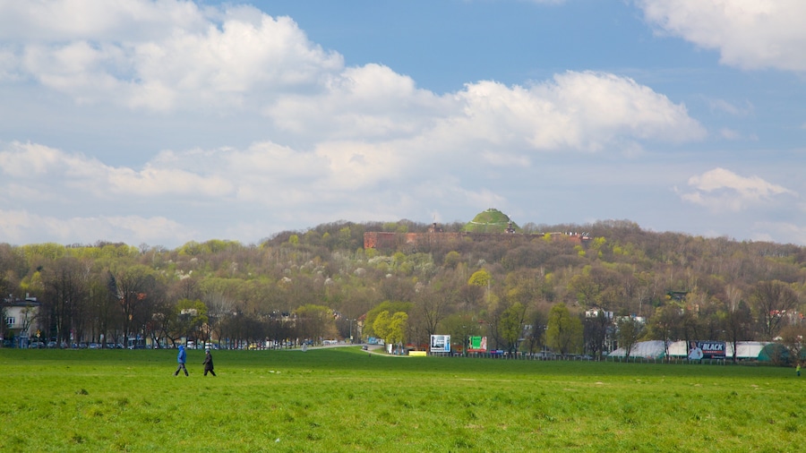 Kosciuszko Mound which includes a park