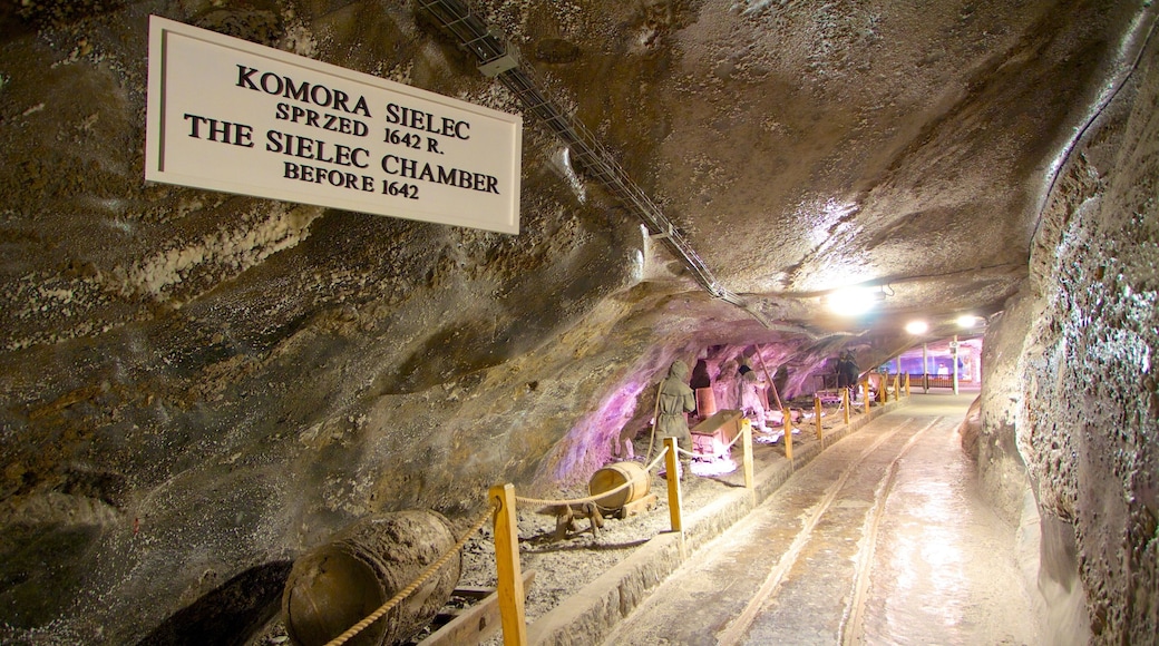 Miniera di sale di Wieliczka mostrando grotte, vista interna e segnaletica