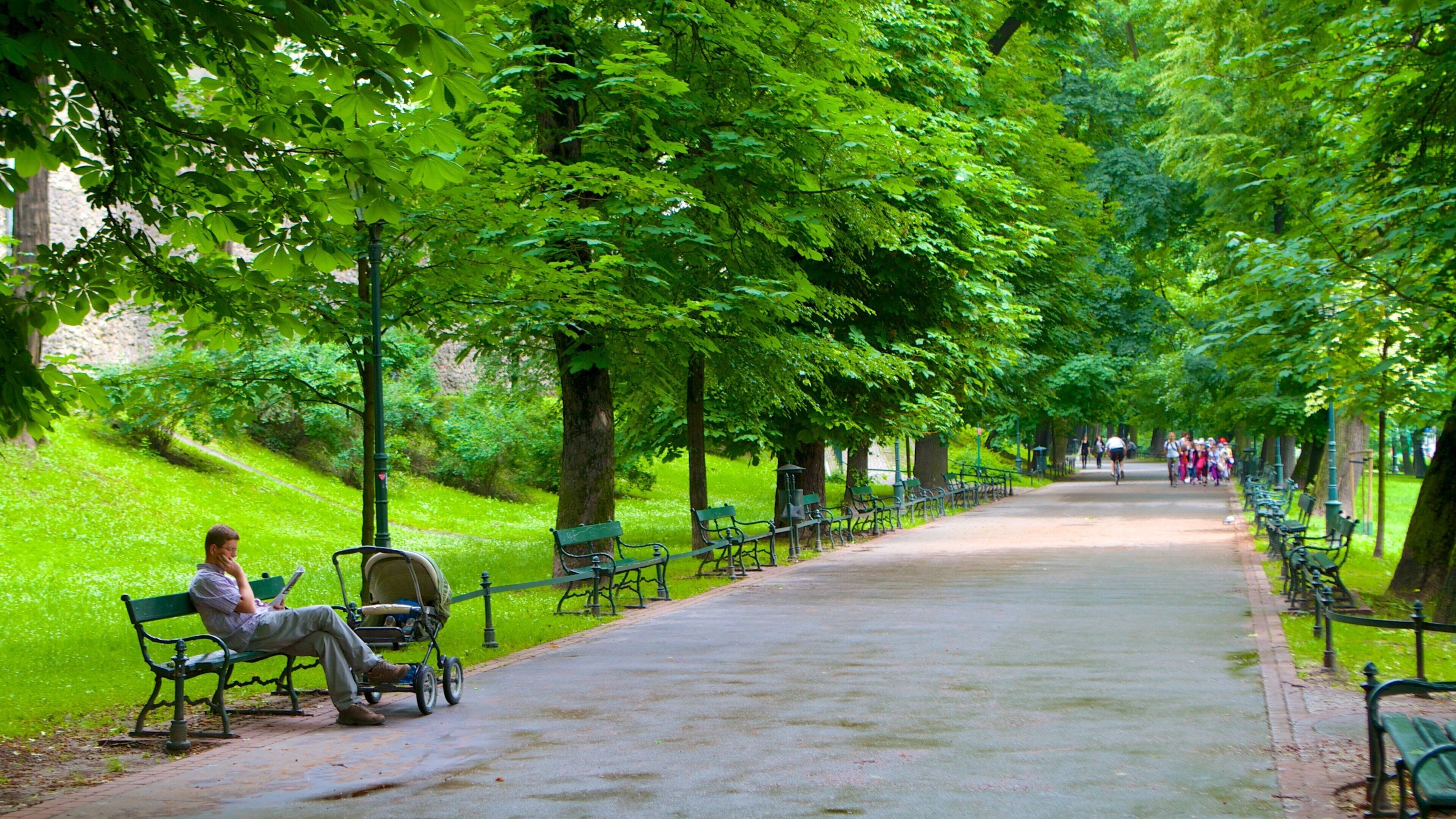 Planty-parken som viser en have såvel som en mand