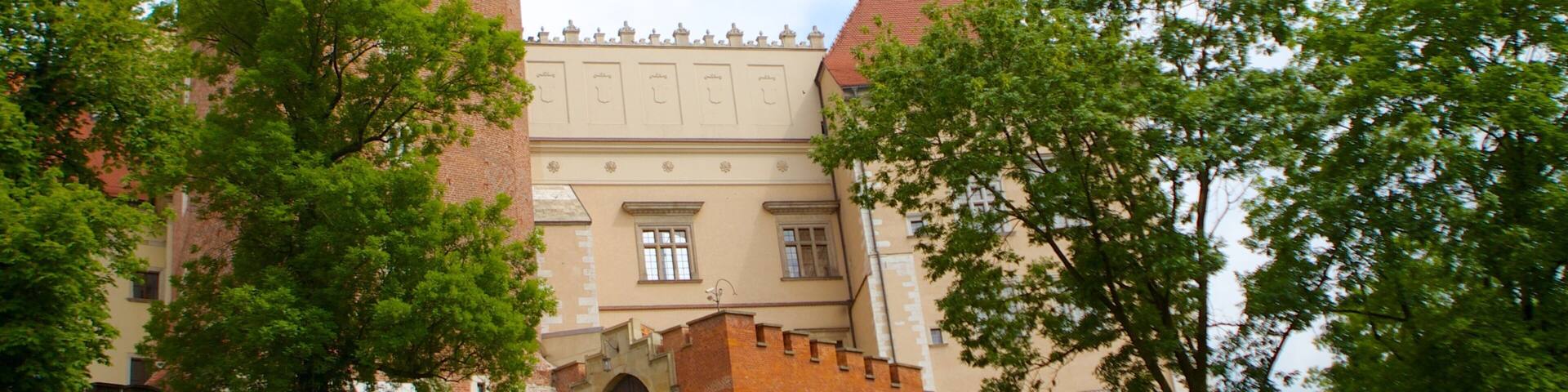 Planty Park which includes a castle and heritage architecture