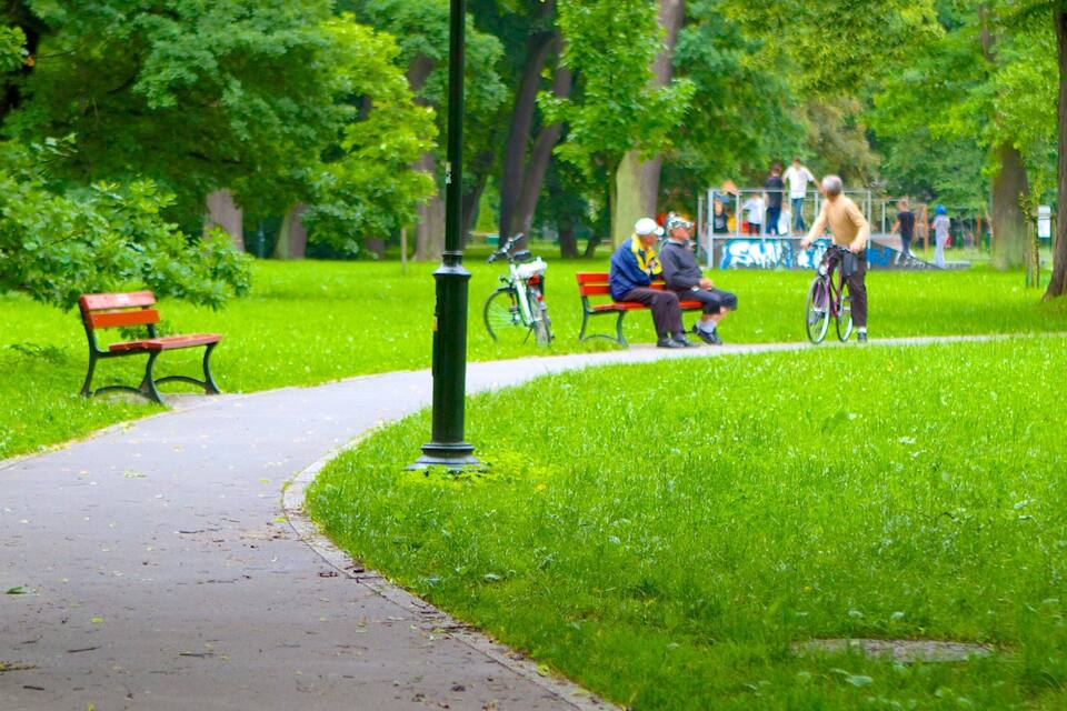 Un parque con un sendero curvo, bancos y ciclistas.