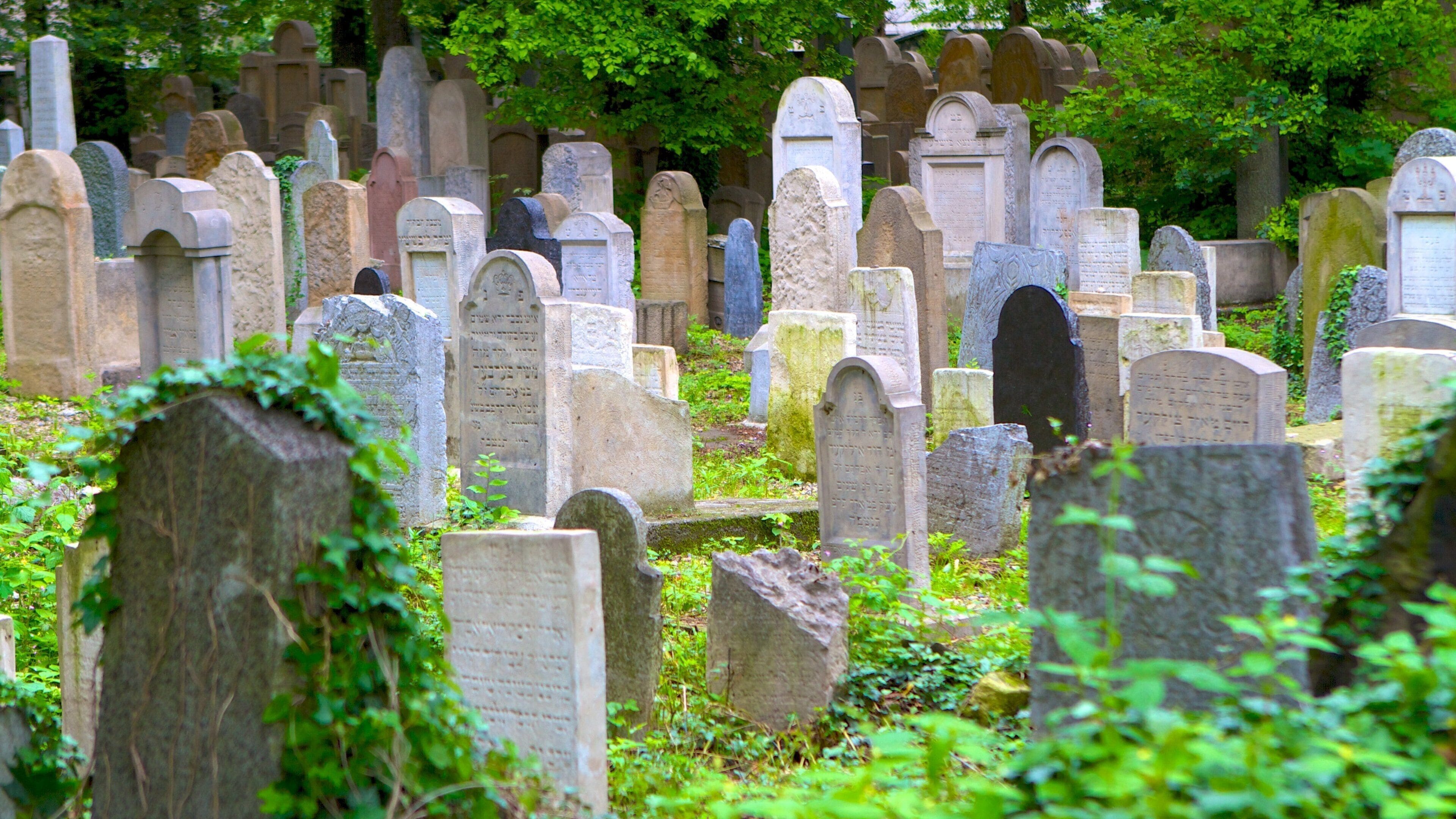 Jewish Cemetery showing a cemetery and a memorial