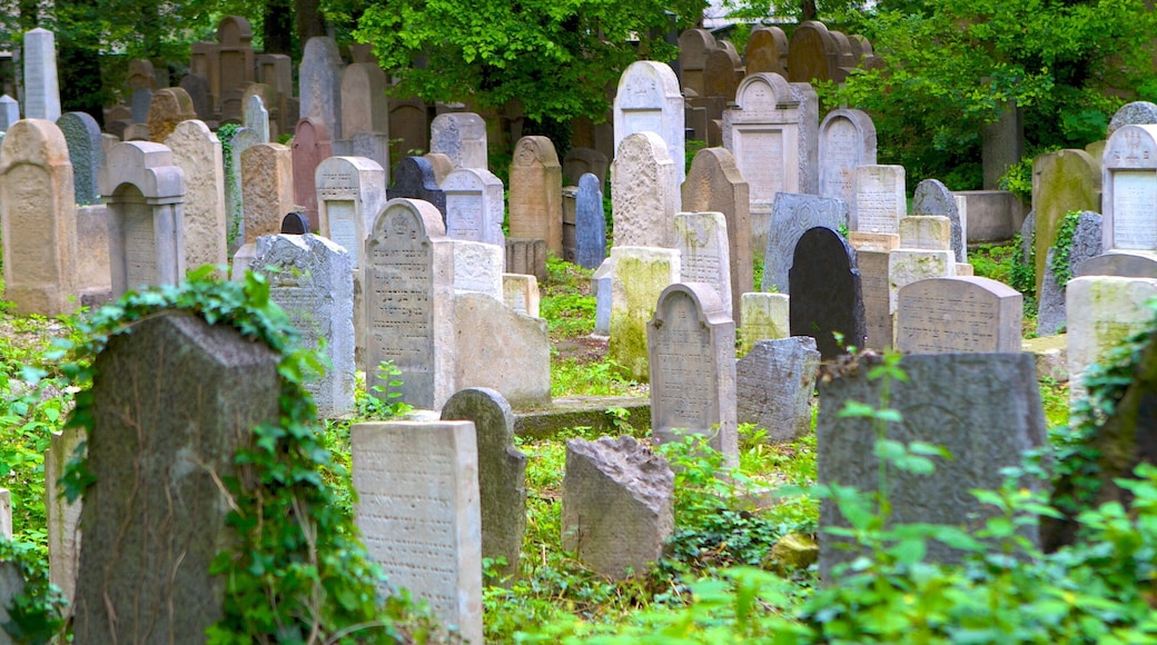 Jewish Cemetery showing a cemetery and a memorial