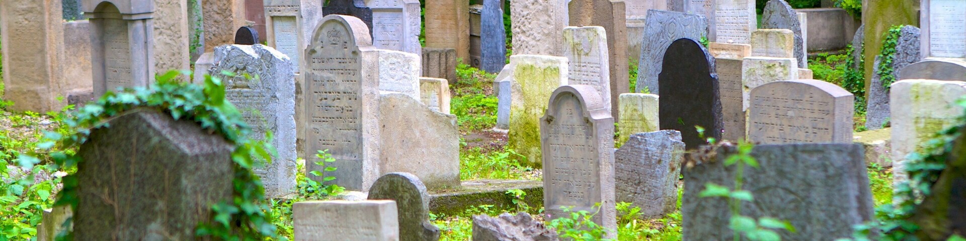 Jewish Cemetery showing a cemetery and a memorial