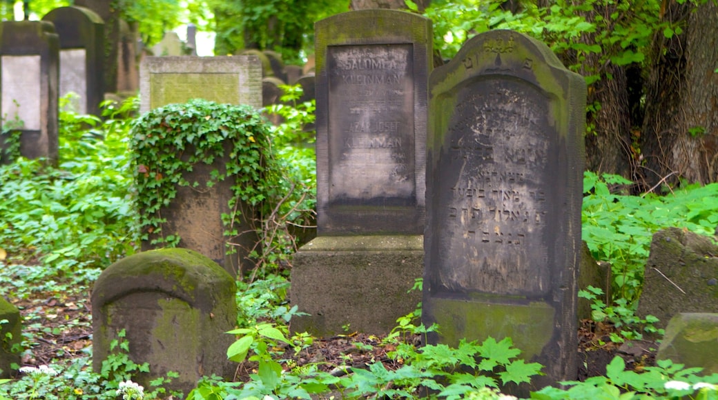 Den jødiske kirkegården som viser kirkegård