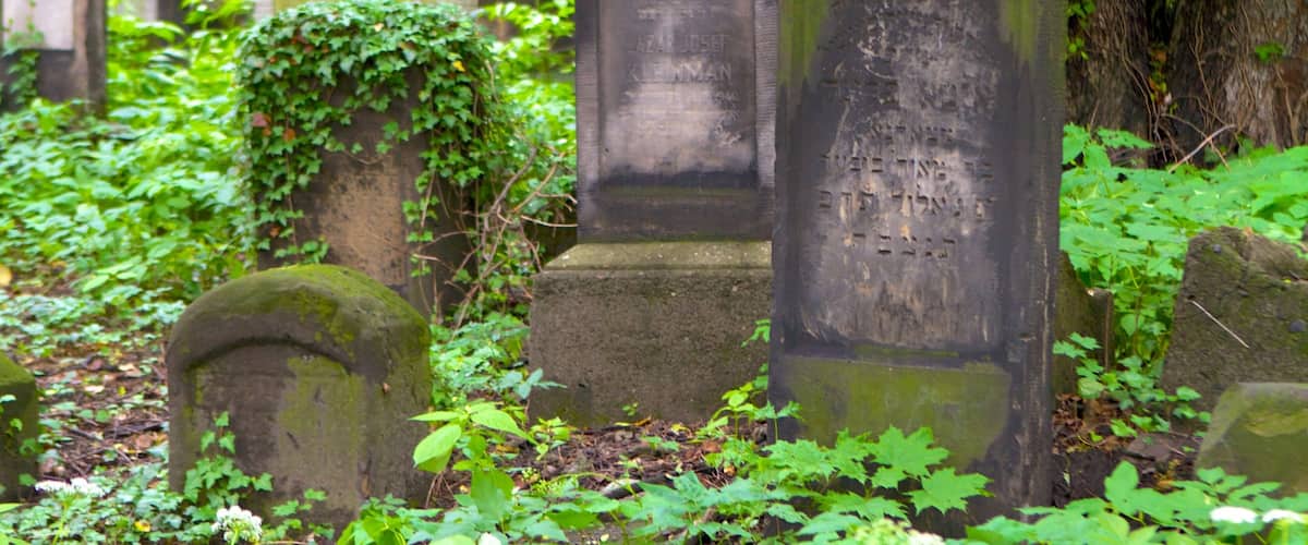 Jewish Cemetery showing a cemetery