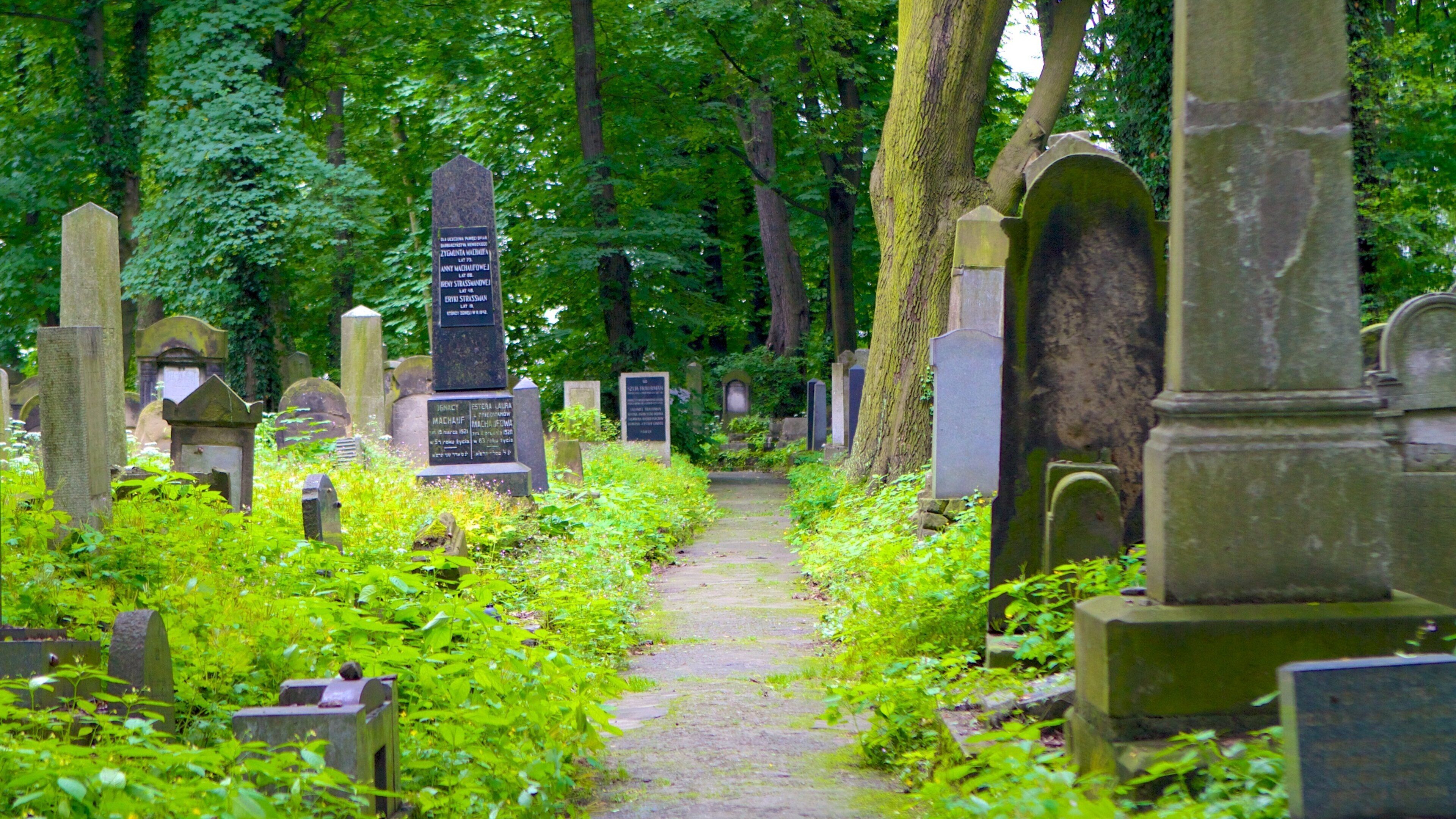 Den jødiske kirkegården fasiliteter samt kirkegård