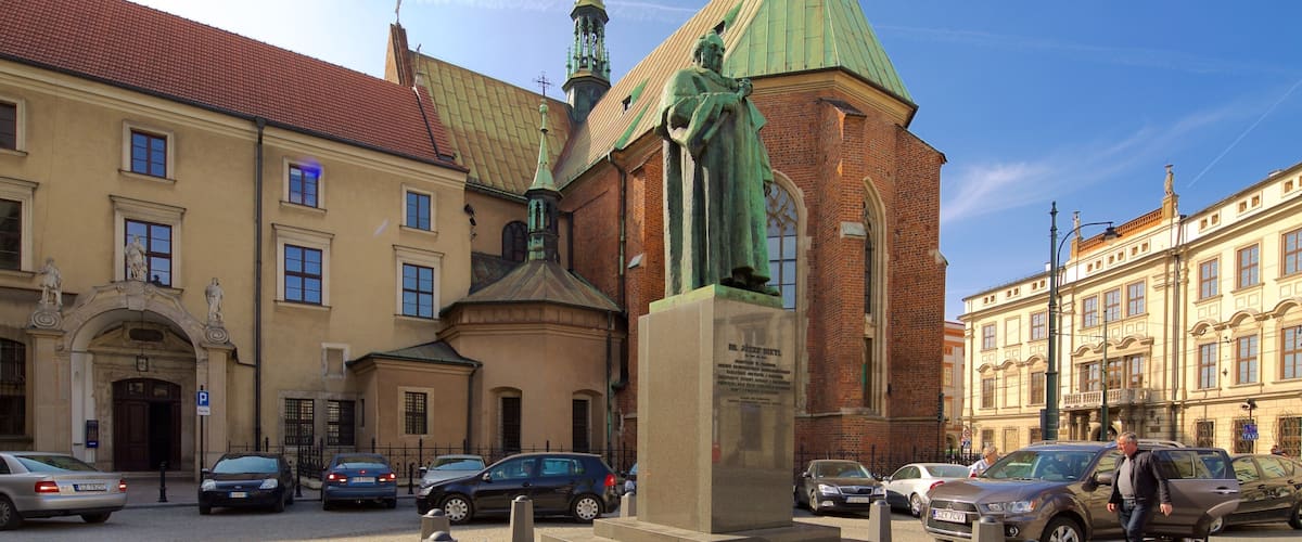 St. Francis of Assisi Church and Monastery which includes a statue or sculpture, a church or cathedral and a square or plaza