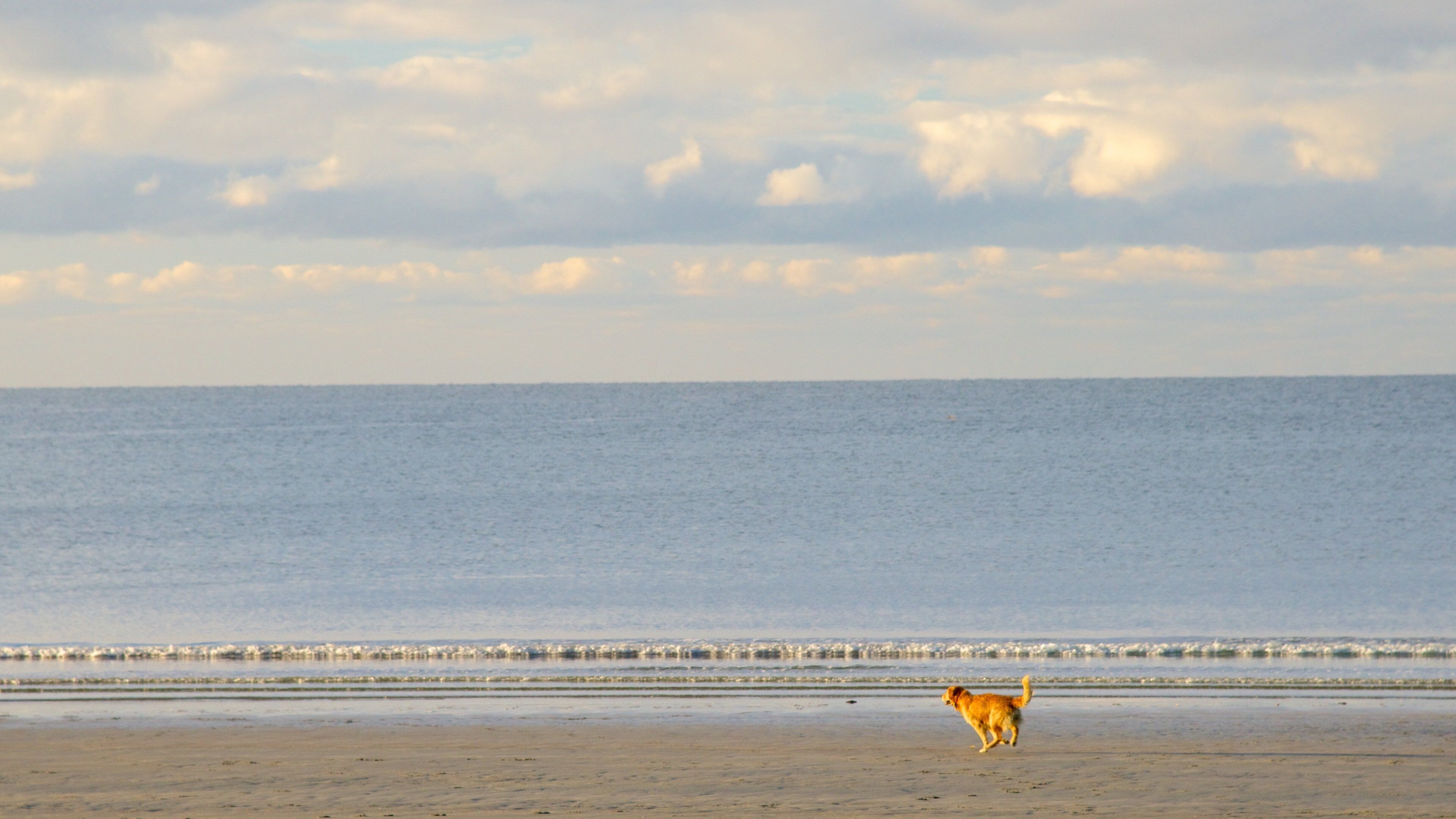Easton\'s Beach bevat een strand