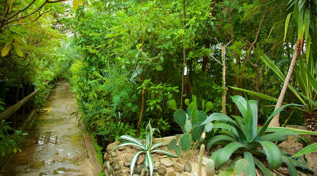 莫斯科植物園 呈现出 公園