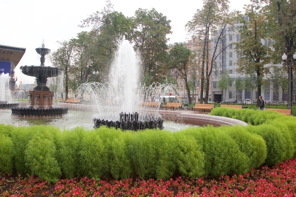 A fountain with multiple water jets, surrounded by neatly trimmed hedges and red flowers.