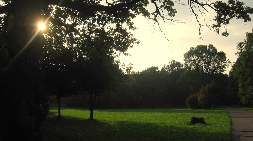 Hermitage Garden showing a garden