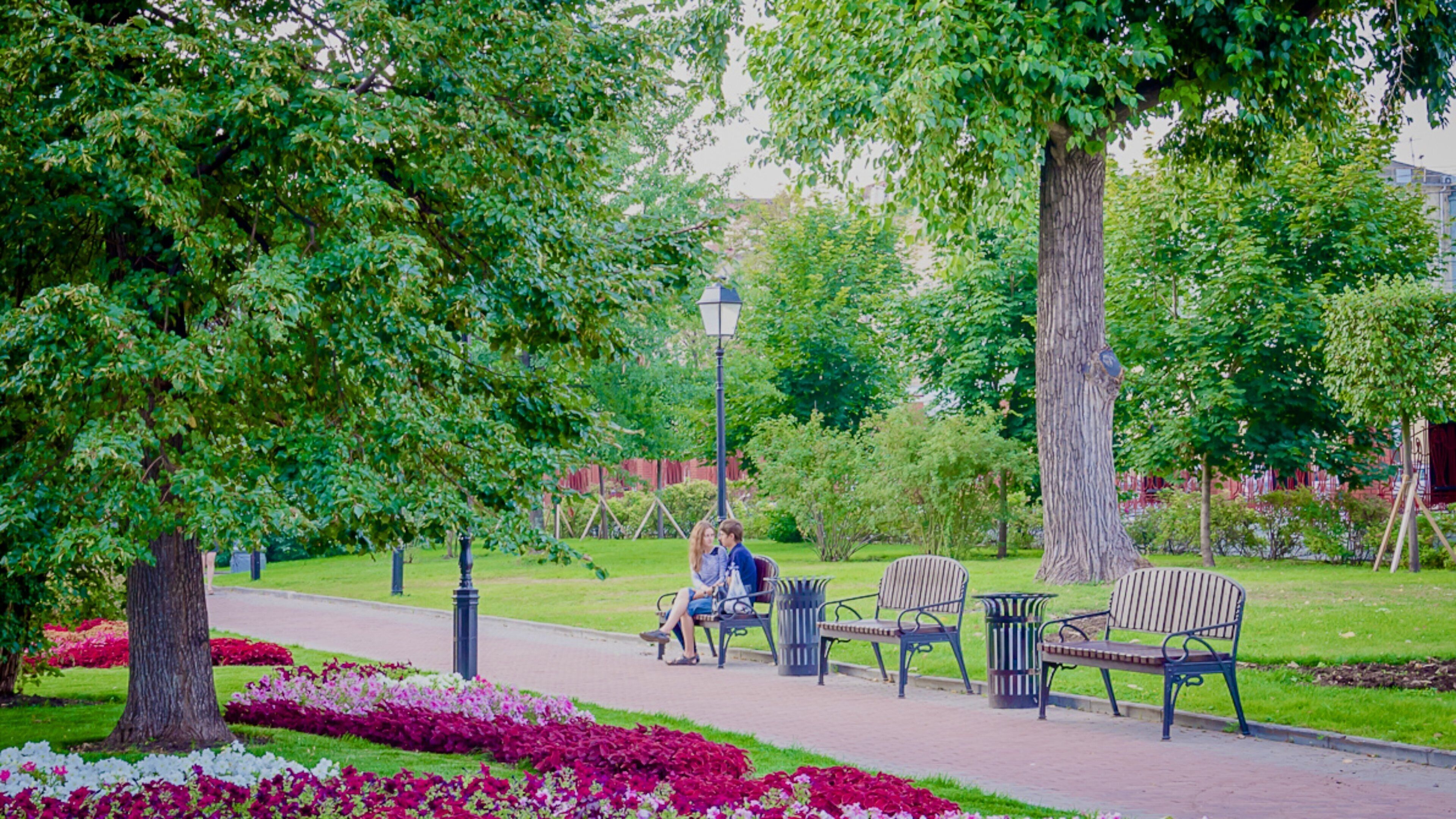 Hermitage Garden showing a park