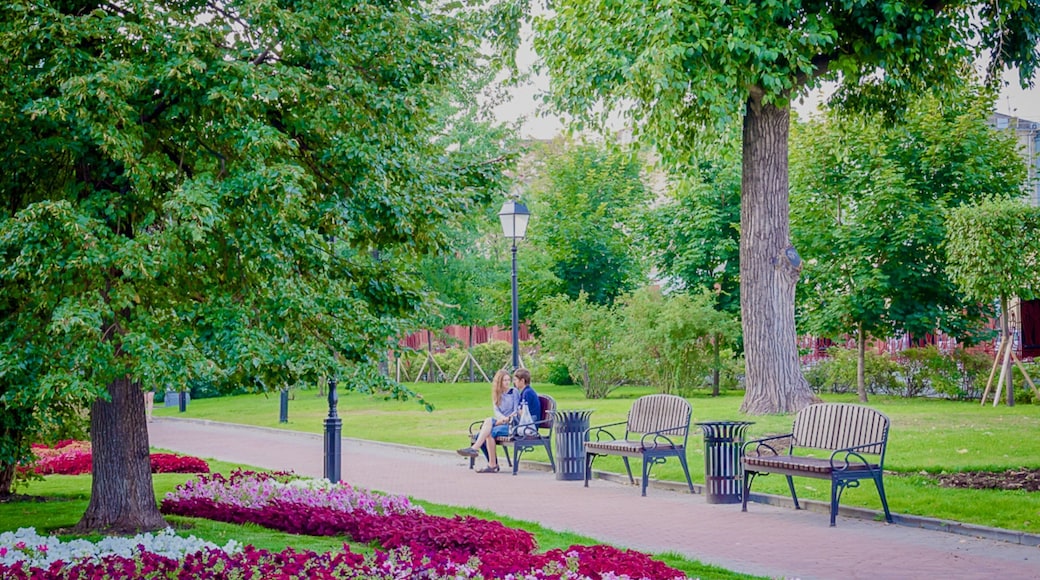 Hermitage Garden showing a park