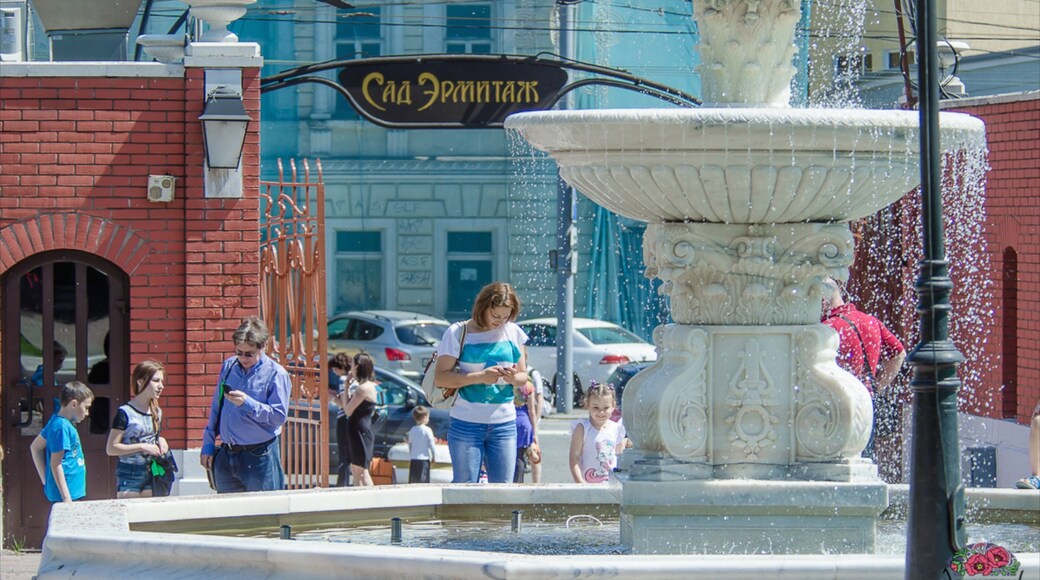Hermitage Garden featuring a fountain